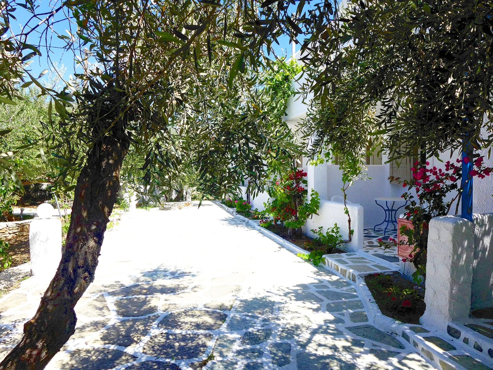 Amaryllis Beach Hotel Χρυσή Ακτή Εξωτερικό φωτογραφία