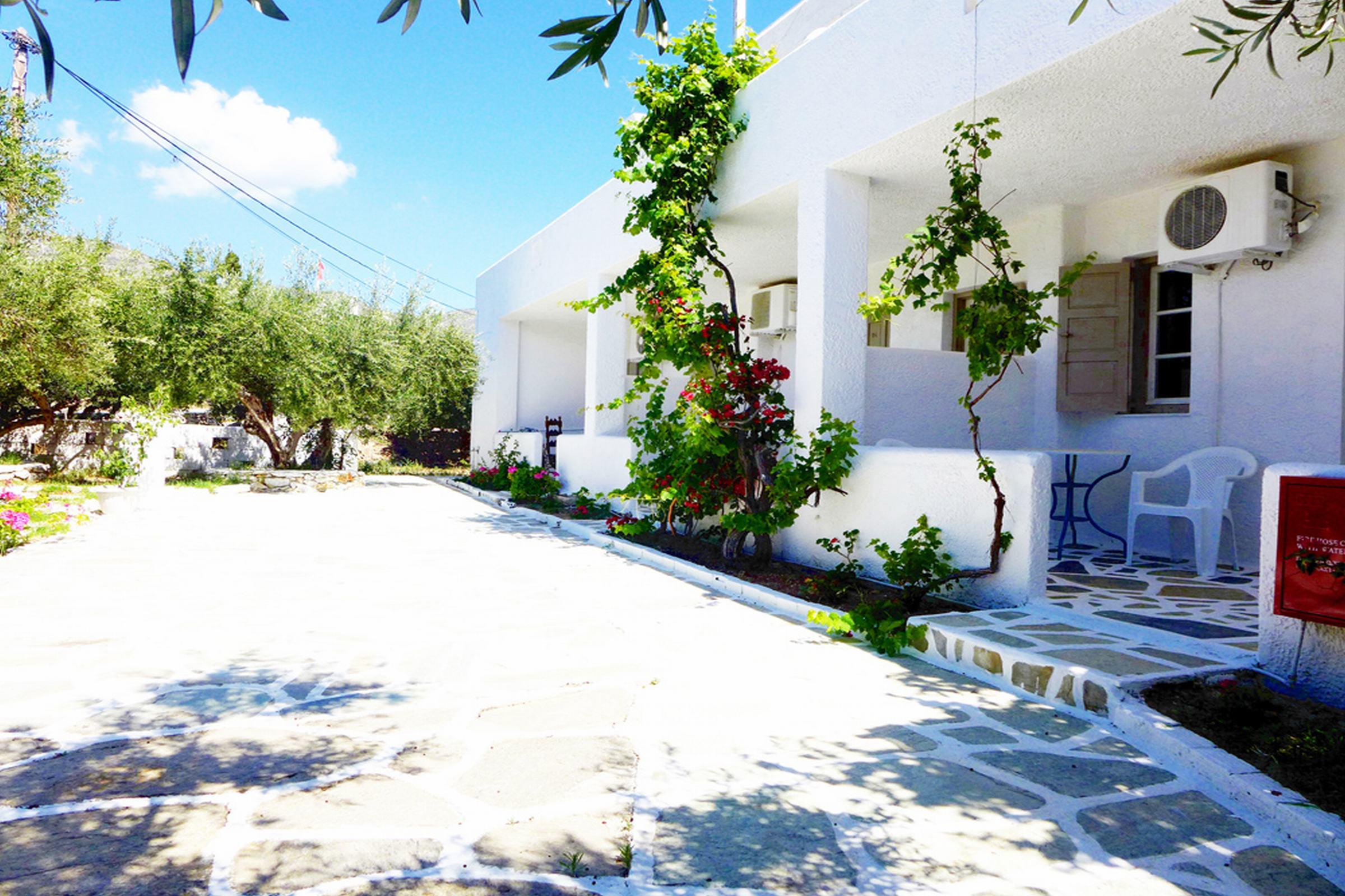 Amaryllis Beach Hotel Χρυσή Ακτή Εξωτερικό φωτογραφία
