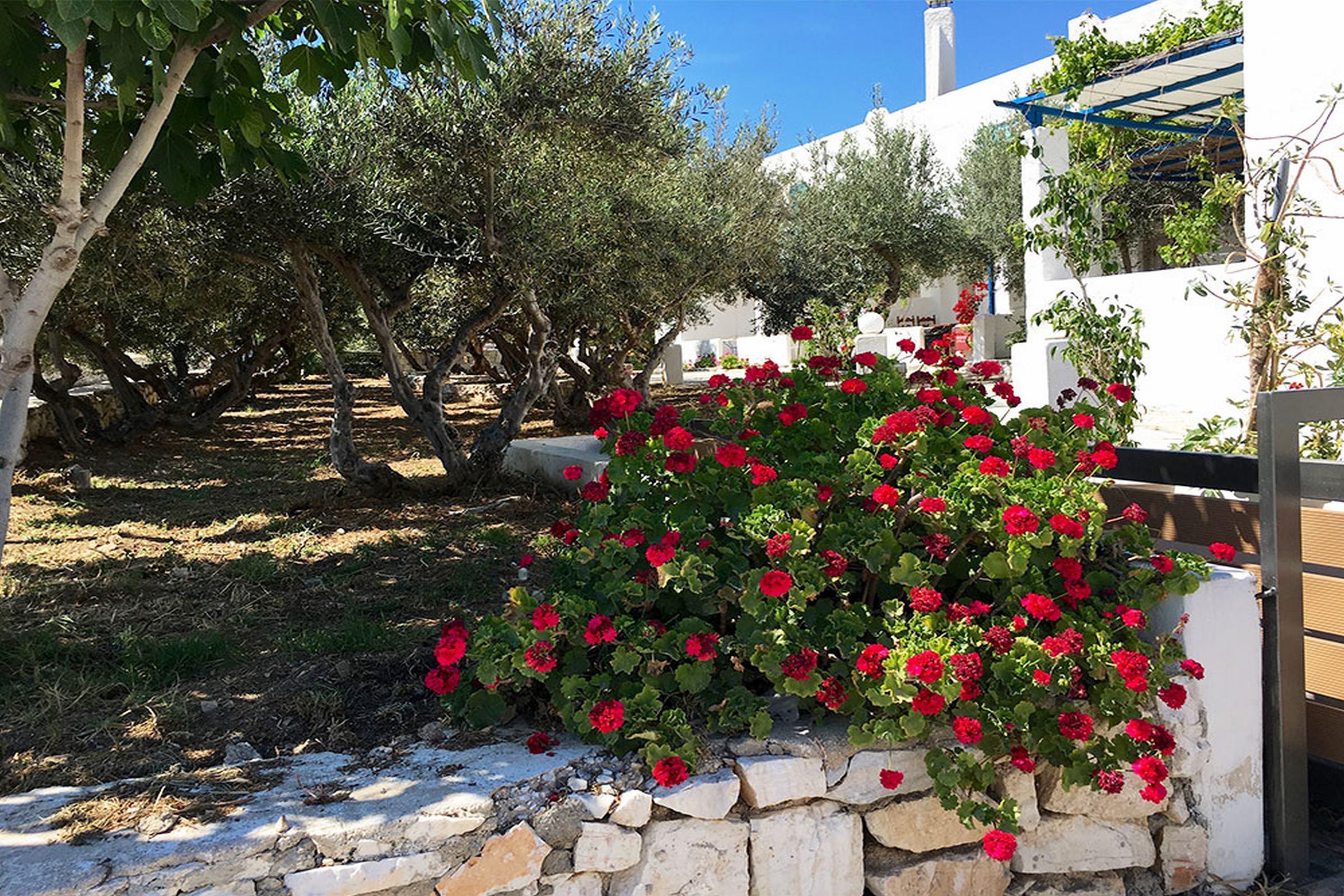 Amaryllis Beach Hotel Χρυσή Ακτή Εξωτερικό φωτογραφία