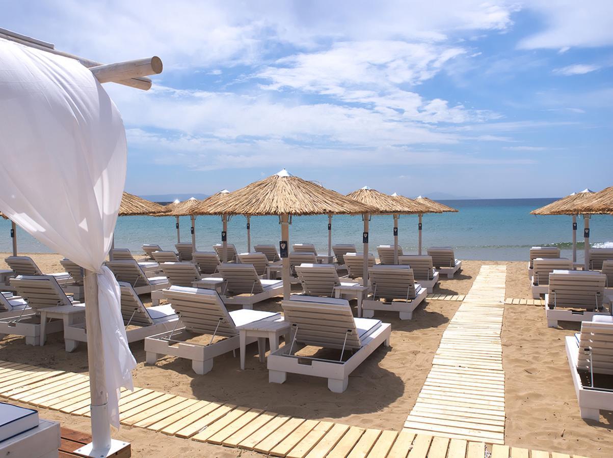 Amaryllis Beach Hotel Χρυσή Ακτή Εξωτερικό φωτογραφία